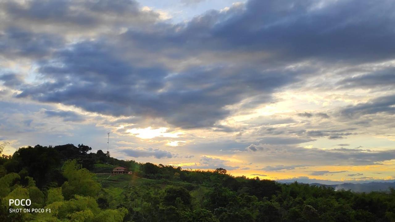 Arbol Cafe Hotel Caicedonia ภายนอก รูปภาพ